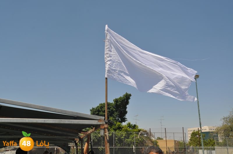 qasam lud sha3ban marbo3 622 (9).JPG